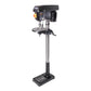 Taladro de árbol de 550 watts Elite profesional
